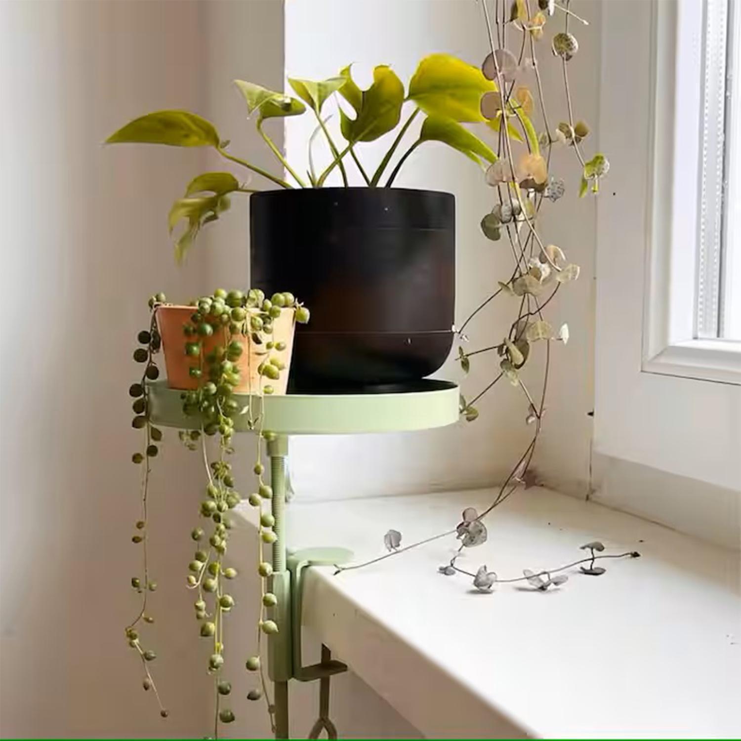 Duomo Studio فلورنس المظهر الخارجي الصورة